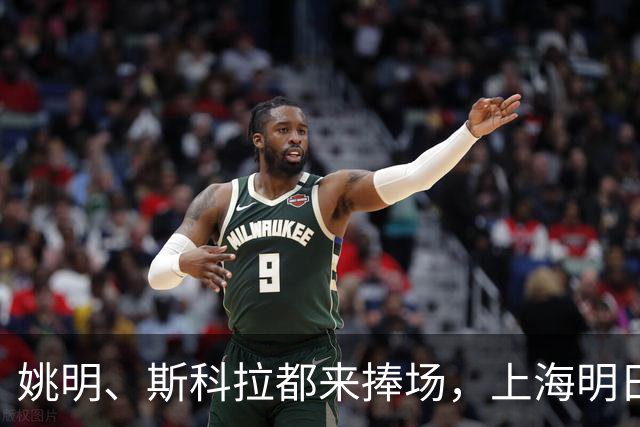 姚明、斯科拉都来捧场，上海明日之星篮球争冠赛有何魔力？