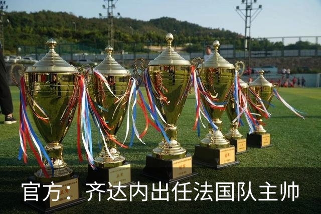 官方：齐达内出任法国队主帅